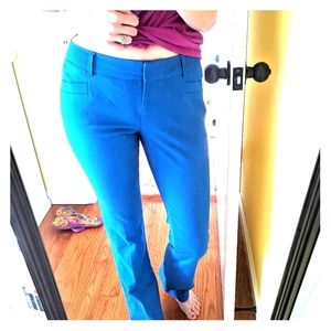Bright blue express columnist dress pants